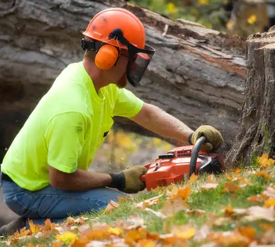 tree services Johnstown